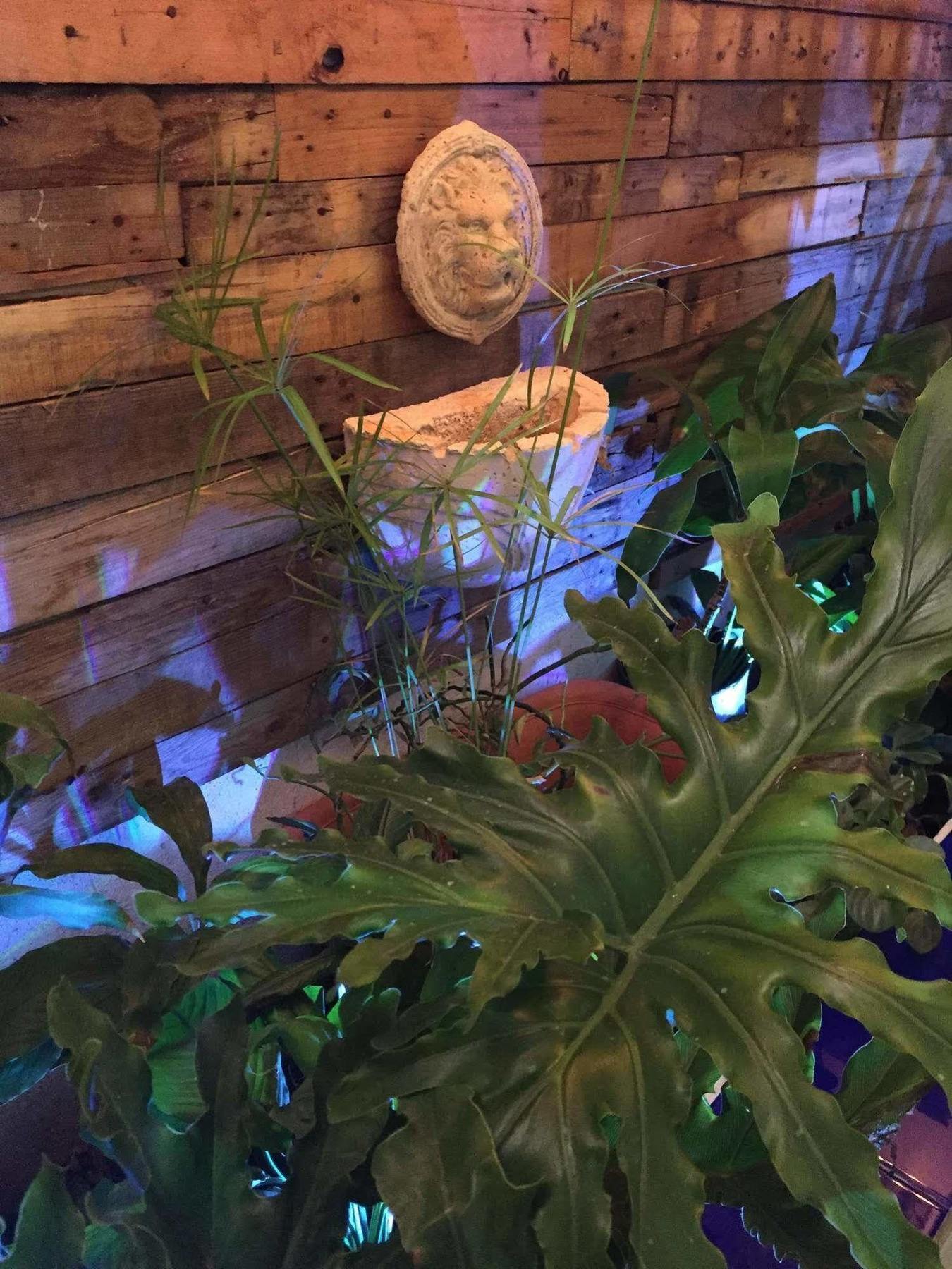 聖多明哥 Jardines Del Teatro酒店 外观 照片